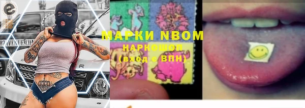 сатива Богданович