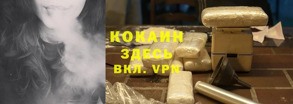 сатива Богданович