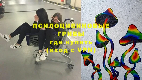 прущие крисы Богородицк