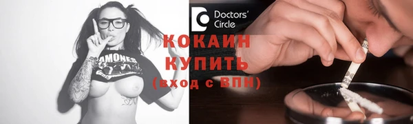 сатива Богданович