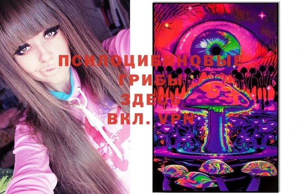 сатива Богданович