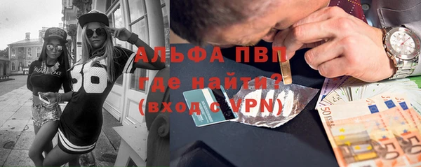 сатива Богданович