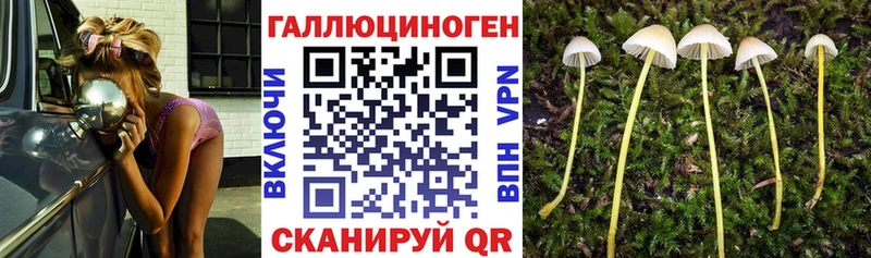 Псилоцибиновые грибы MAGIC MUSHROOMS Киренск